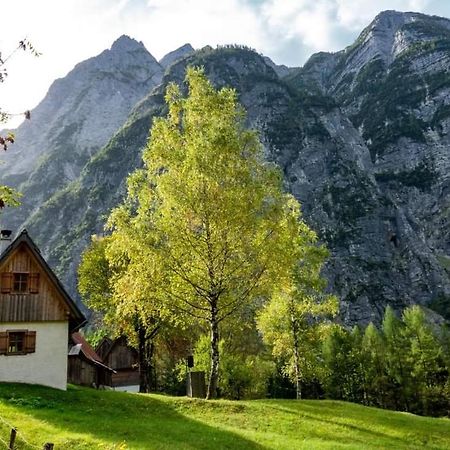 Cottages Kravanja Trenta Extérieur photo